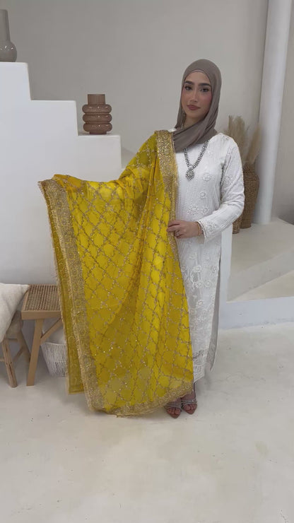 Chiffon Dori Work Dupatta *includes more colour options*